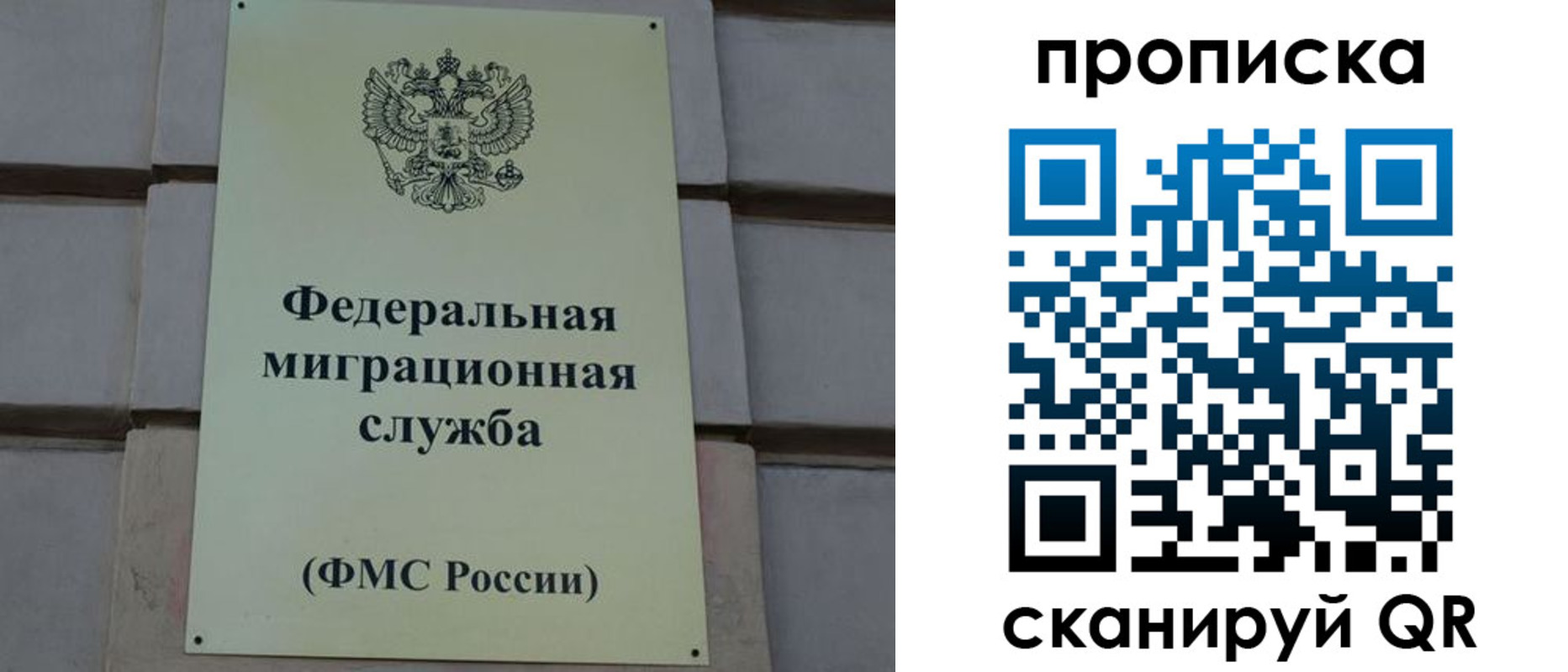 прописка поиск в Вяземском